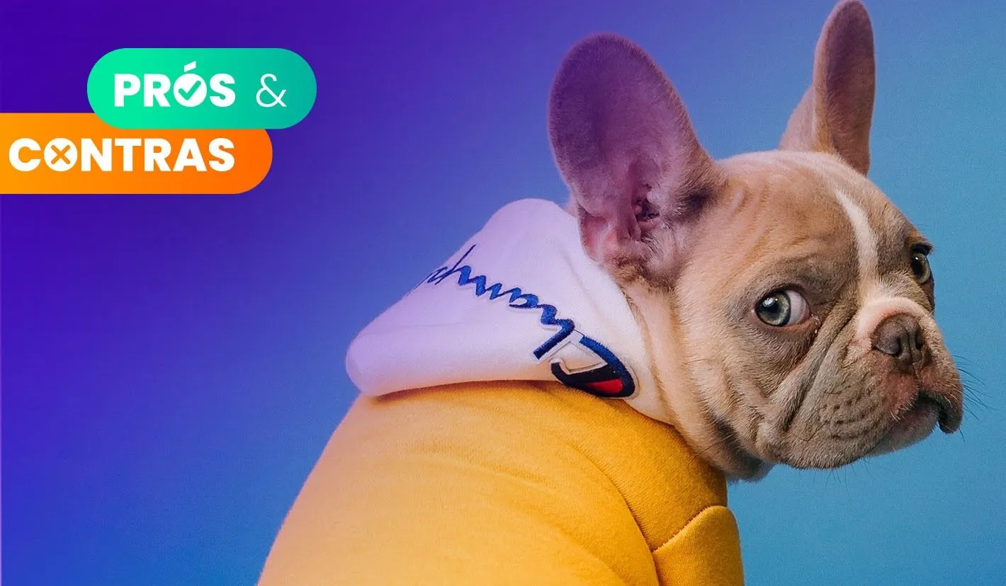 Prós & Contras de aceitar animais no seu alojamento