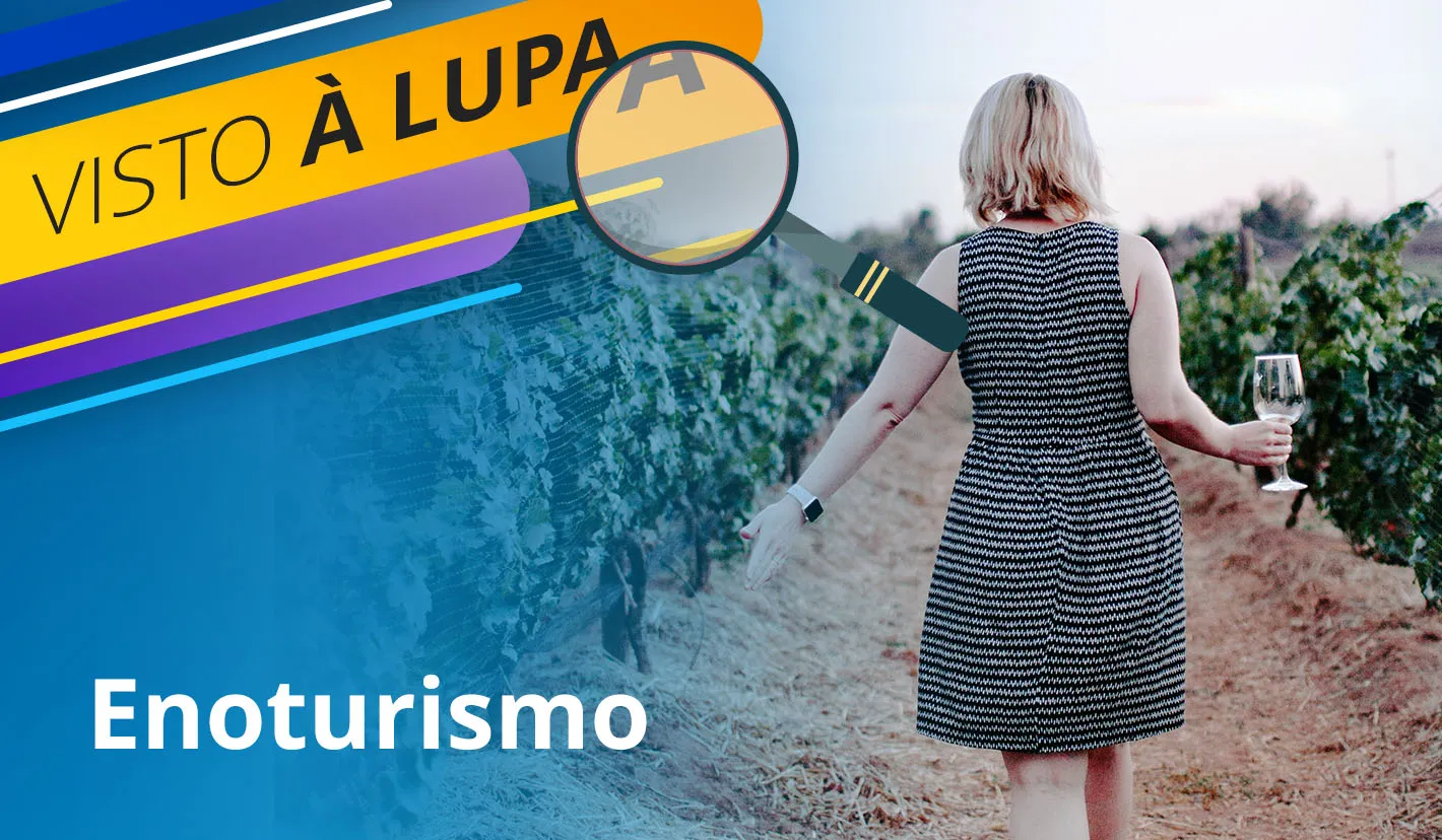 Visto à Lupa: Enoturismo, o encanto de uma viagem pelo mundo dos vinhos